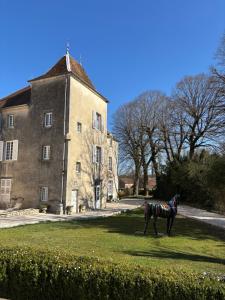 B&B / Chambres d'hotes Chateau la hussardiere : photos des chambres