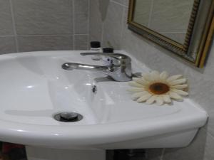 The Lantern Guesthouse