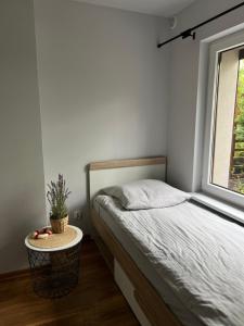 Domek na Morenowym Wzgórzu, nad jeziorem