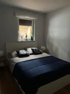 Domek na Morenowym Wzgórzu, nad jeziorem - Pszczew