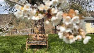 EifelChalet Niederehe