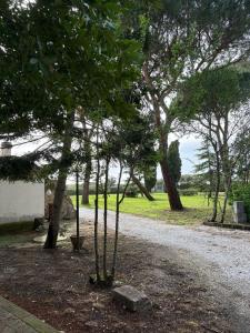 Rustico SantEmilio