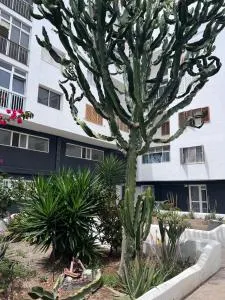 Relax apartamento 3 - Marzagán