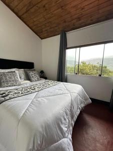 Aconchego da Lapinha