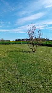 Maisons de vacances Guesthouse in Derce : photos des chambres