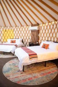 Johnny Yurts - The Lone Star - Blanco