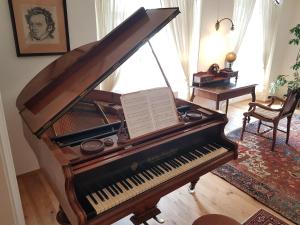 city center Apartment