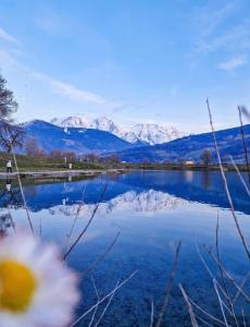 Appartements Charmant apartment vue MontBlanc : photos des chambres