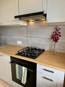 Rokiskis- jaukus butas su balkonu