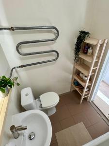 Rokiskis- jaukus butas su balkonu