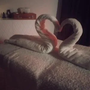 villa Pšenek - Jalšové