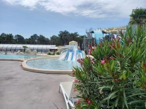 Mobile home in 5-star camping