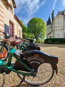 B&B / Chambres d'hotes Chateau de Vallagon : photos des chambres