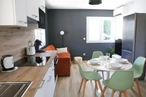 Charmant appartement T2 - 伊泽尔省鲁西永