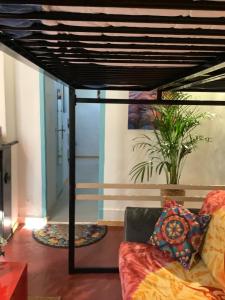 Appartements Le Petit Mediterraneen : photos des chambres