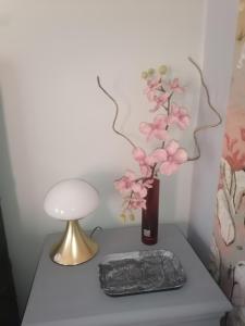 Entre vignes & Piano "Caudalie" chambre dhôtes