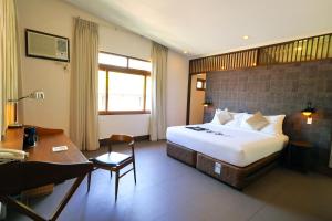 The Funny Lion - Coron