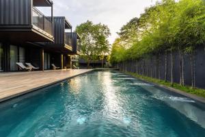 The Funny Lion - Coron