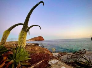 Chill Out Family House La Tejita 2