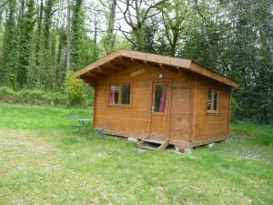 Chanterelle - Comblessac