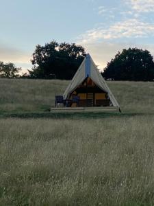 Daffodil Safari Tent