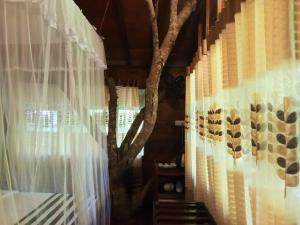 Jungle Face Inn