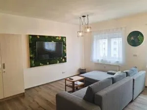 Apartmán Milano Frymburk - Platten