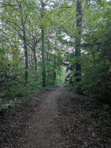 HomeBievres maison dans les bois