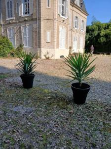 Maisons de vacances Gite Chateau baie de somme 10 a 12 personnes : photos des chambres