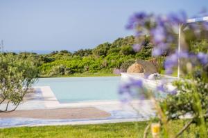 Villa Fior d Acqua - Castelsardo img20