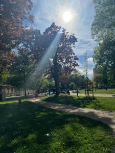 Appartements Appartement meuble tout confort : photos des chambres