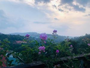 Mây garden homestay cầu đất