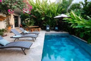 HUGE Suite!! King Bed, Air Conditioning, Pool, Fast Wifi - Sol at Casa Calavera