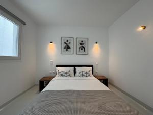 Entropia Myconian Apartment