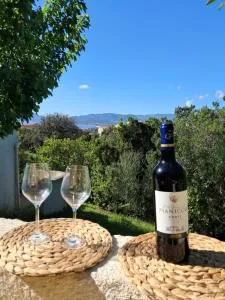 La mini villa Ondella à Porticcio - Grosseto-Prugna