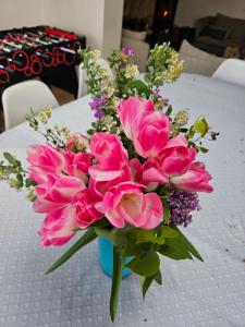 Deux maisons reunis par le jardin et sa cabine de plage, à 8min à pieds des plages et de locéan