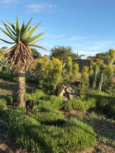 The Comfy Corner @ Skyfall Country Estate