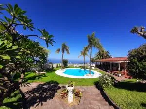 La Perla Exotica - Los Realejos