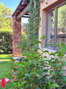 The Comfy Corner @ Skyfall Country Estate