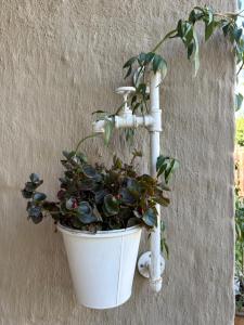 The Comfy Corner @ Skyfall Country Estate