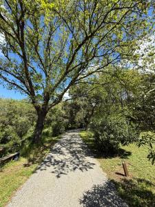 Appartements Le Mouron Rouge : photos des chambres