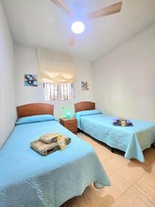 Disfruta la experiencia Magic World