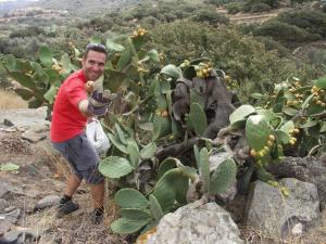 Crossroads Inn Traditional Lodging Tinos Greece