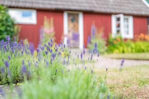 Charming Country House - Bedding & Towels included