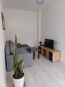 Apartament przy Armii Krajowej I