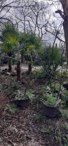 Wijndomein de Vier Ambachten -overnachten in de wijngaard