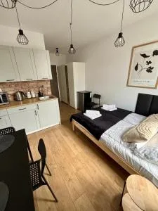 Apartament Kamionka Piast - 斯切尔采奥波莱斯基