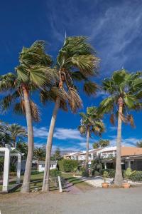 Beach Paradise, Nº5