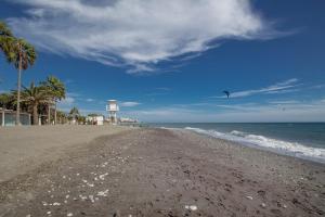 Beach Paradise, Nº5