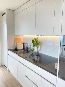 Top apartment with stunning views- 15 min Zurich HB- Self Check-in